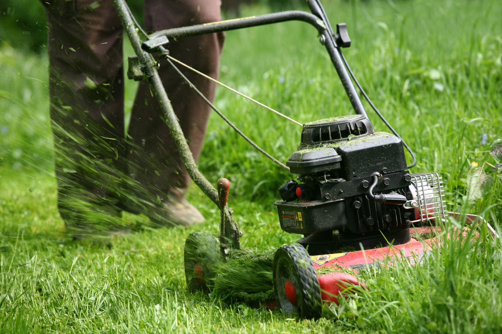 屋外の美観を保つ草刈りや草むしりサービスで庭園を美しく整えます